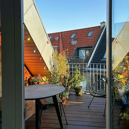 Apartment Penthouse With Plants And Art Near Kodbyen Kopenhagen