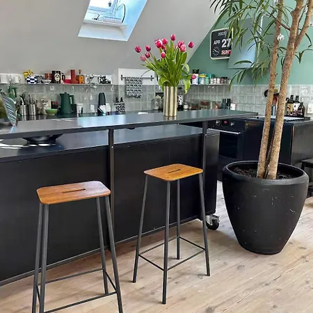 Penthouse With Plants And Art Near Kodbyen Kopenhagen